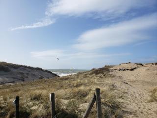 Duinnest - Noordwijkerhout - 7