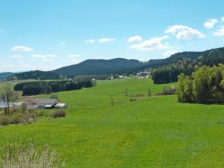 Apartment Freisinger-1 by Interhome - Zachenberg - 5