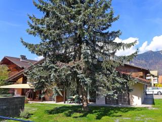 Apartment von Allmen by Interhome - Wilderswil - 6