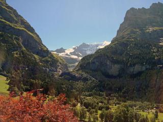 Apartment Chalet Bärgsunna-1 by Interhome - Grindelwald - 6