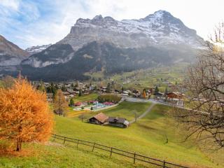 Apartment Chalet Perle by Interhome - Grindelwald - 5