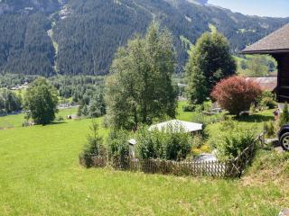 Apartment Chalet Bärgsunna-2 by Interhome - Grindelwald - 1