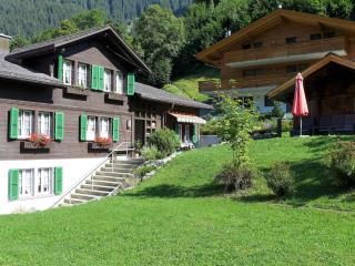 Apartment Schwendihus by Interhome - Grindelwald - 1