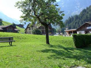 Apartment Chalet Schwendihus-6 by Interhome - Grindelwald - 1