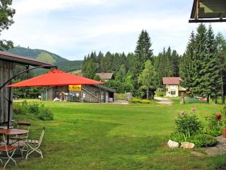 Holiday Home Paula by Interhome - Bayerisch Eisenstein - 4