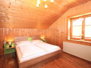 Apartment Heidi-3 by Interhome - Ried im Zillertal - 3