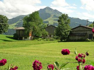Holiday Home Fliegerklause by Interhome - Rettenbach - 7