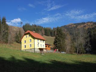 Holiday Home Krechen Alm by Interhome - Pernegg an der Mur - 4