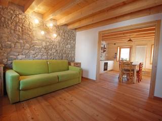 Apartment Albergo Diffuso - Cjasa Ustin-1 by Interhome - Barcis - 9