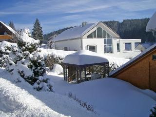 Apartment Willmann by Interhome - Eisenbach - 1