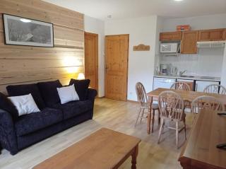 Bel Appartement en résidence avec piscines - Samoëns - 1