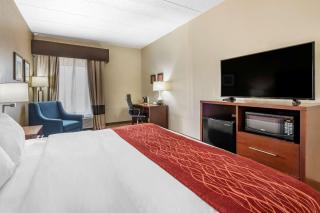 Comfort Inn Lexington I-75 - Lexington - 4