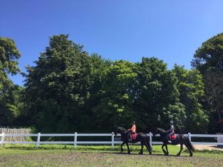 Ferien im Gutspark Schwarbe mit Re - Mattchow - 2