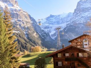 Apartment Chalet Bodmisunne by Interhome - Grindelwald - 7