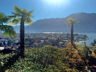 Apartment Double Room Classic-8 by Interhome - Ascona - 2