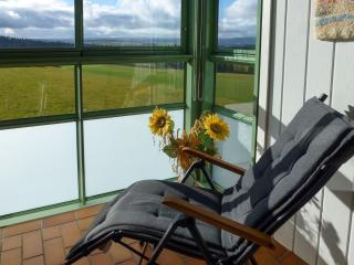 Apartment G 103 by Interhome - Dittishausen - 9
