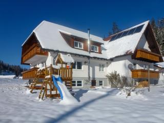 Apartment Fischer by Interhome - 3