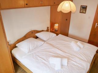 Apartment Les Platanes E3 by Interhome - Nendaz - 1