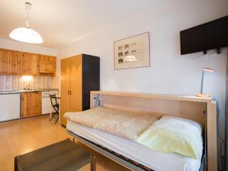 Studio Velan 115 by Interhome - 1