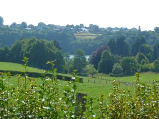 Holiday Home Au bord du Lac 2 by Interhome - Bütgenbach - 6
