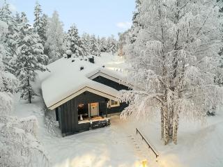 Holiday Home Lomaylläs b19 - palovaarankaarre 2 b by Interhome - Ylläsjärvi - 5
