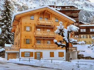Apartment Alpina Apt- CH by Interhome - Wengen - 6