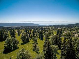 Chalet Chalet de la Vue des Alpes by Interhome - 6