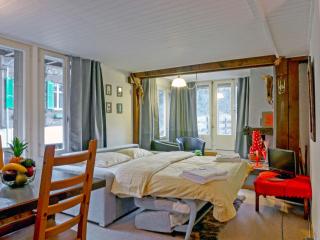 Apartment Schweizerhof Apt- B by Interhome - Wengen - 9