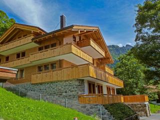 Apartment Bergfrieden Apt- 2 by Interhome - Wengen - 6