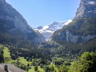 Apartment Chalet Almisräba by Interhome - Grindelwald - 6