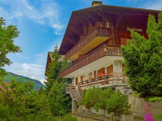 Apartment Bergkristall Apt- P by Interhome - Wengen - 6