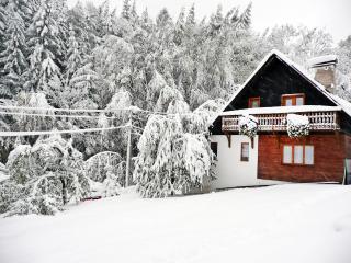 Apartment Janová by Interhome - 0