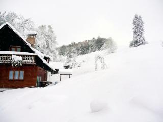 Apartment Janová by Interhome - 6