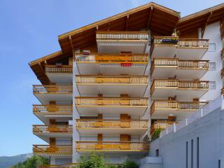 Apartment Victoria 1 C1 by Interhome - Nendaz - 7