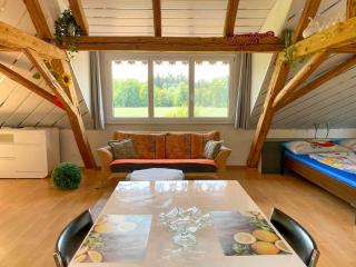 Studio Arn's Dachstudio by Interhome - Wangenried - 4