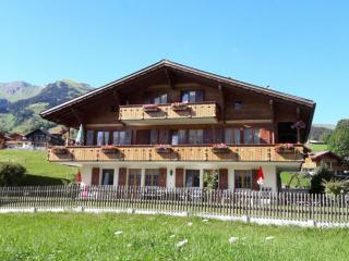 Apartment Lohnerhus-1 by Interhome - Grindelwald - 0