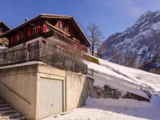 Apartment Chalet Albi-2 by Interhome - Grindelwald - 0