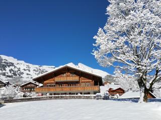 Apartment Lohnerhus-2 by Interhome - Grindelwald - 1
