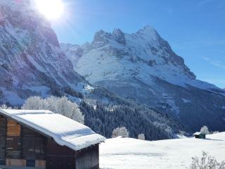 Apartment Lohnerhus-2 by Interhome - Grindelwald - 2
