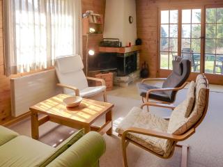 Apartment Aiguilles Dorées III-2 by Interhome - Villars-sur-Ollon - 3