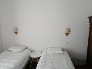Ficus Benjamina - Aveiro - 3
