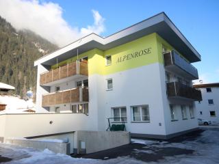 Apartment Alpenrose-3 - 6