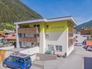 Apartment Alpenrose-3 - 0