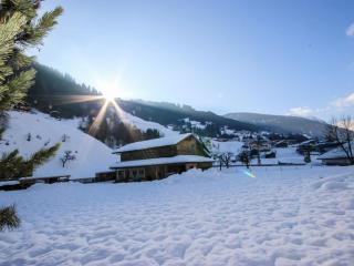 Apartment Alpenrose-3 - 3