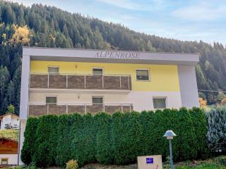 Apartment Alpenrose-3 - 7