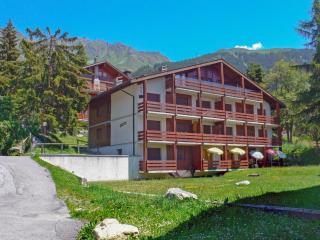 Apartment Lichen 4 by Interhome - Verbier - 6