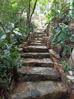 CASA DA MATA descanso e sossego na natureza - 5