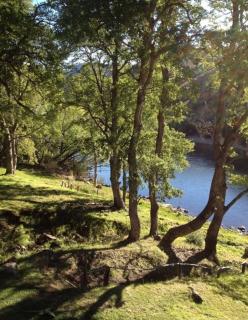 Alumine River Ranch - 9