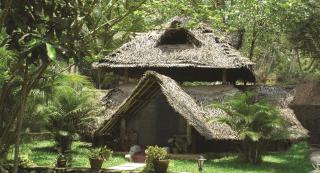 Amrutham Ayurvedic Village Resort - 7