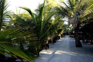 Sunrise Beach Resort - Dar es Salaam - 9